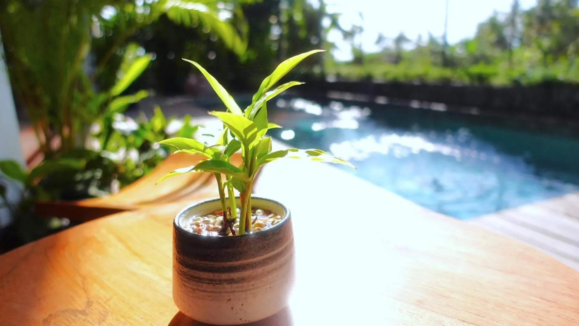 The Vinaya Boutique Hotel Ubud  Ubud (Bali)