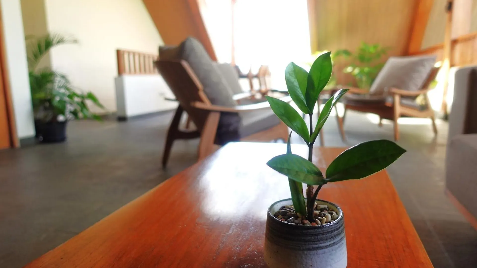 The Vinaya Boutique Hotel Ubud  3*, Ubud (Bali)
