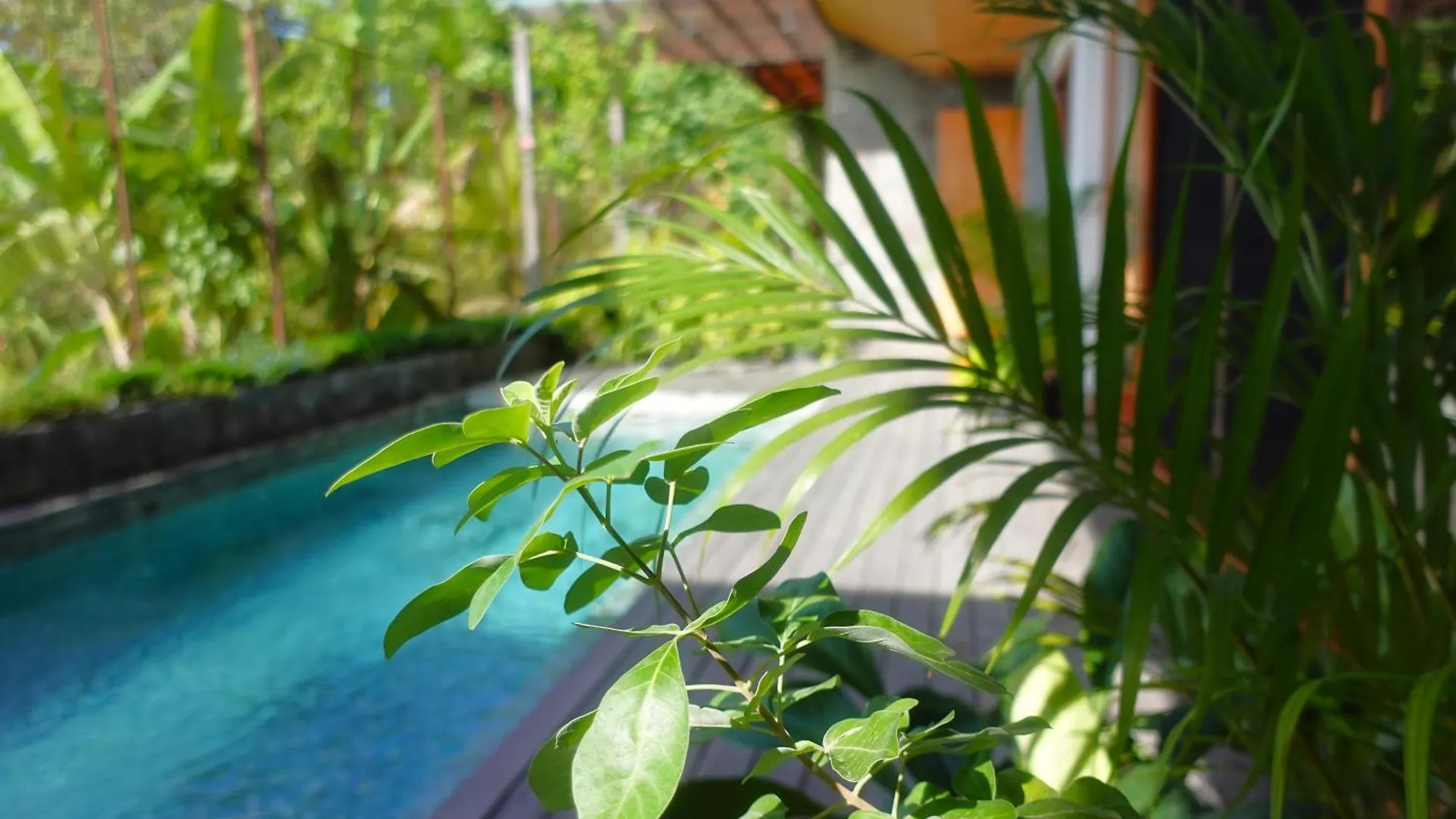 The Vinaya Boutique Hotel Ubud